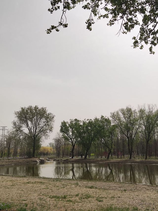 南苑森林湿地公园旅行图片 15