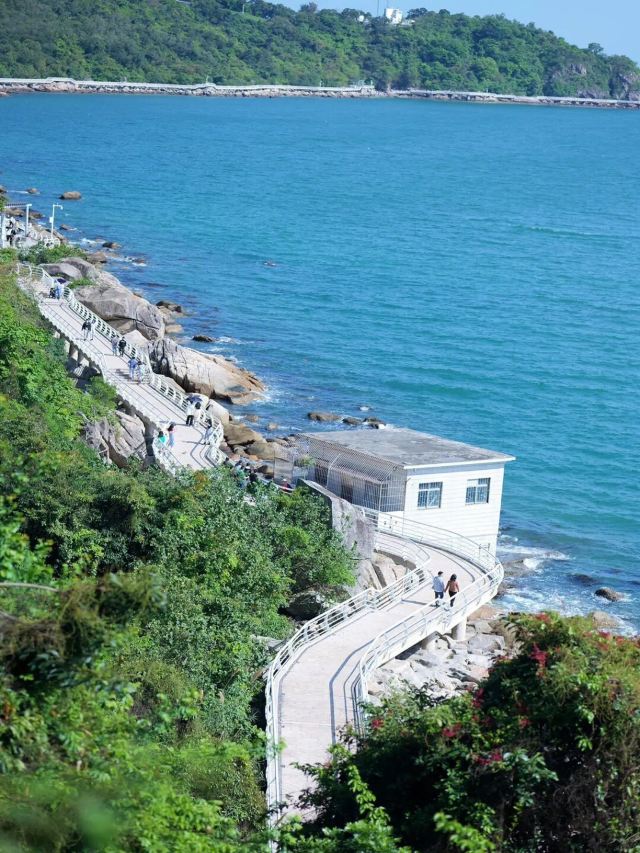背仔角沙滩旅行图片 6