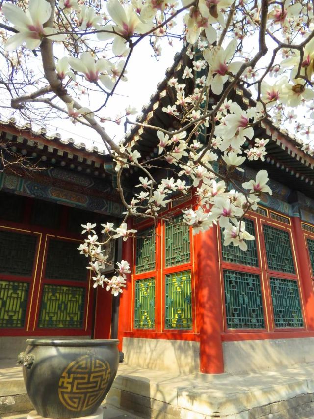 智化寺旅行图片 1