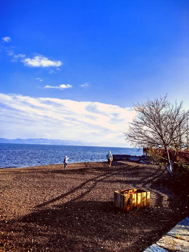广龙抚海湾湿地公园旅行图片 2