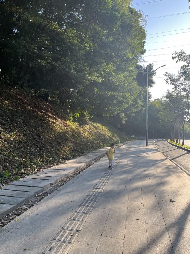 尖岗山公园旅行图片 2