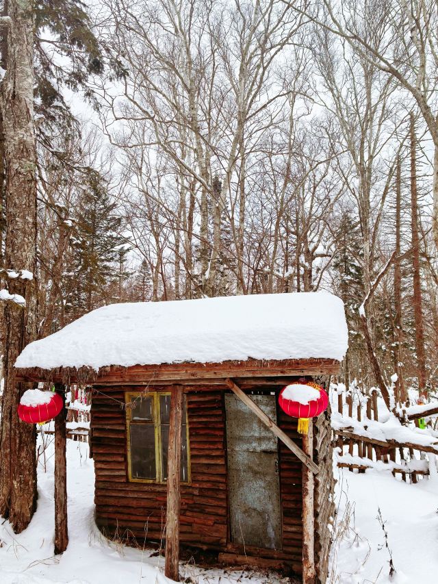 亚布力雪舞山庄旅行图片 5