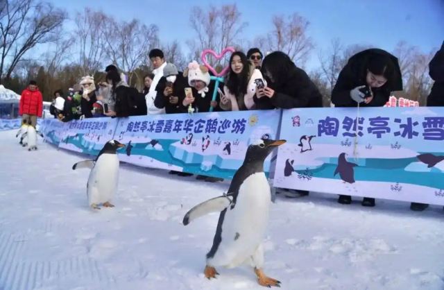 陶然亭公园旅行图片 3