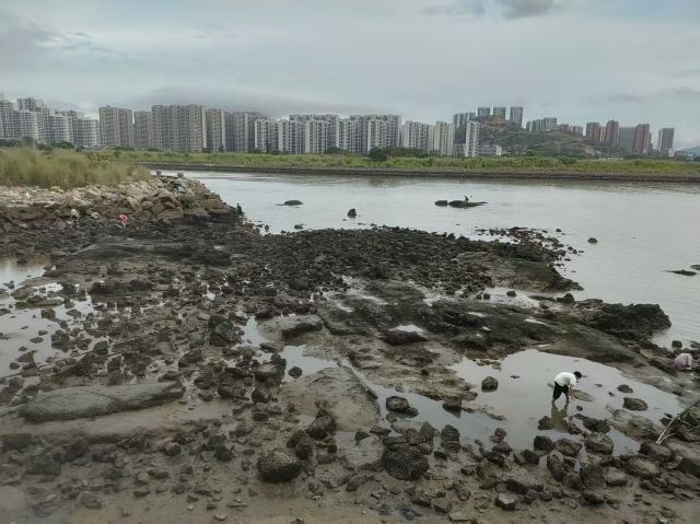 礁石公园旅行图片 1
