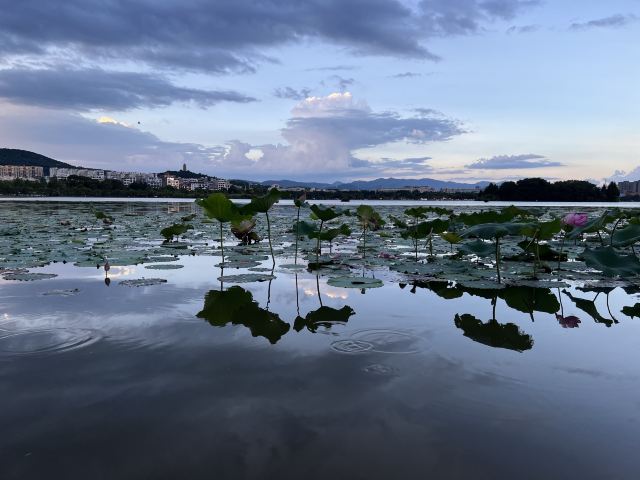 湖泉水乡旅游度假区旅行图片 6
