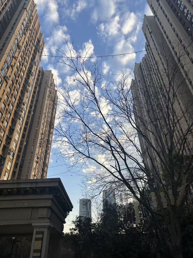 真如寺旅行图片 3