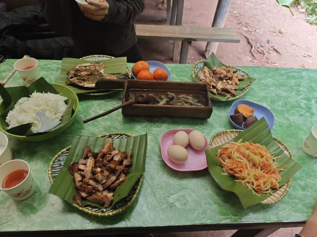 基诺山雨林徒步旅行图片 2