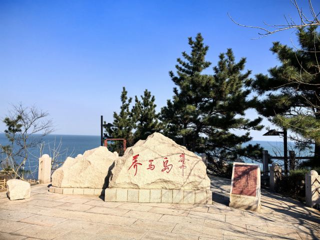 养马岛林间花海旅行图片 5