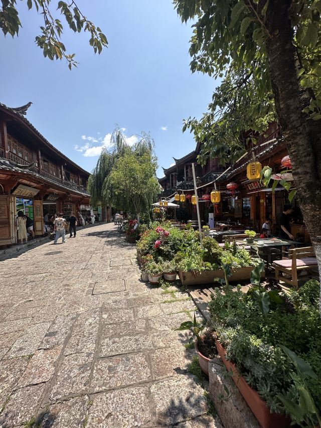 丽江古城旅行图片 2