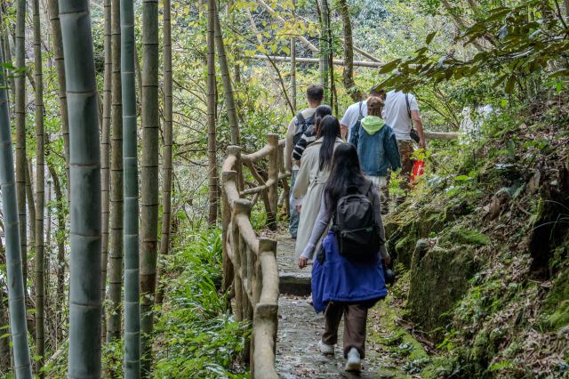 炎陵县神农谷国家森林公园旅行图片 9