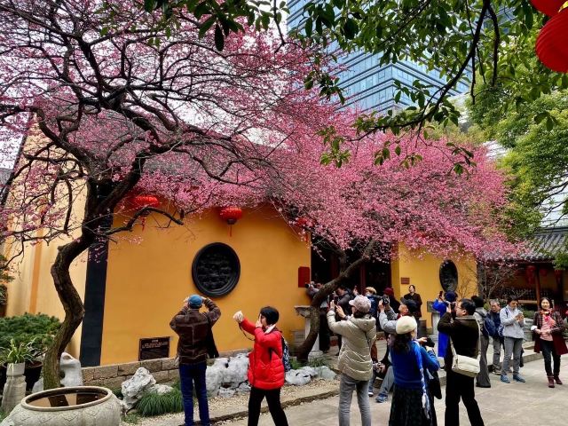 湖州铁佛寺旅行图片 6