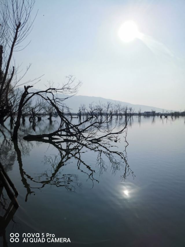 黄龙潭公园旅行图片 3
