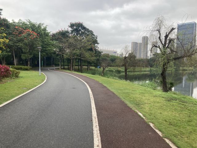 碧湖生态公园旅行图片 13