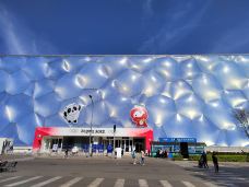 北京-白猫警长4851