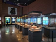 河源恐龙博物馆-河源-辰宁在心