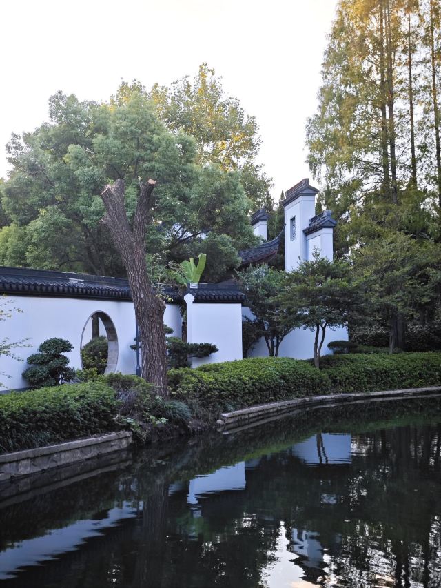 闸北公园旅行图片 4