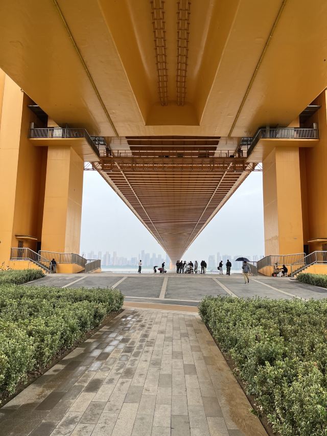 武汉杨泗港长江大桥游玩攻略简介,武汉杨泗港长江大桥门票/地址/图片/开放时间/照片/门票价格【携程攻略】