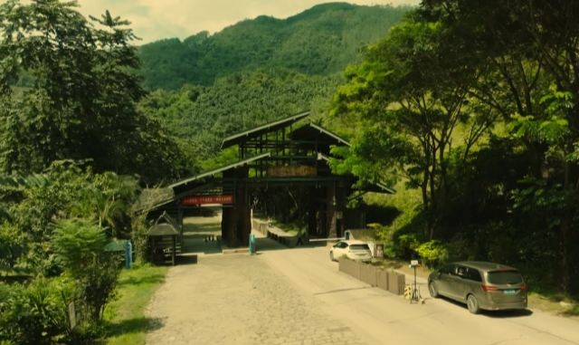 景迈千年万亩古茶园旅行图片 9