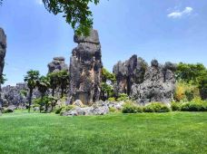 小石林景区-阿诗玛-石林-银老先生