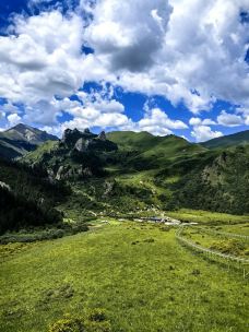 则岔石林-碌曲-Zheng-Nan
