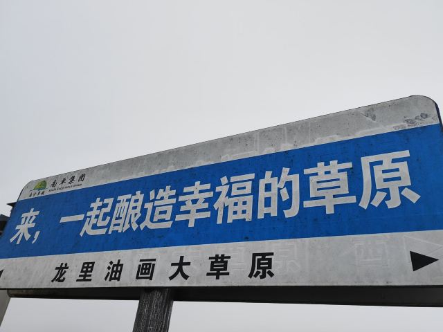 龙里油画大草原旅行图片 3