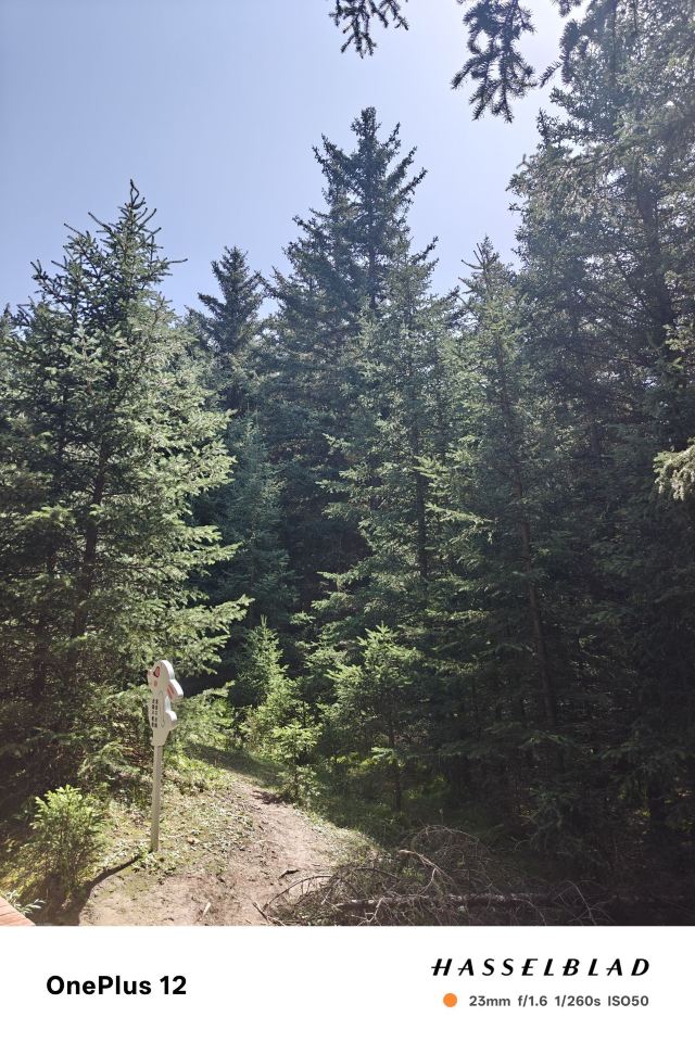 焉支山(暂停开放)旅行图片 7