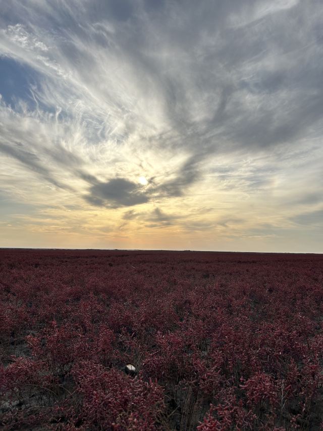 营口鸟浪广场旅行图片 5