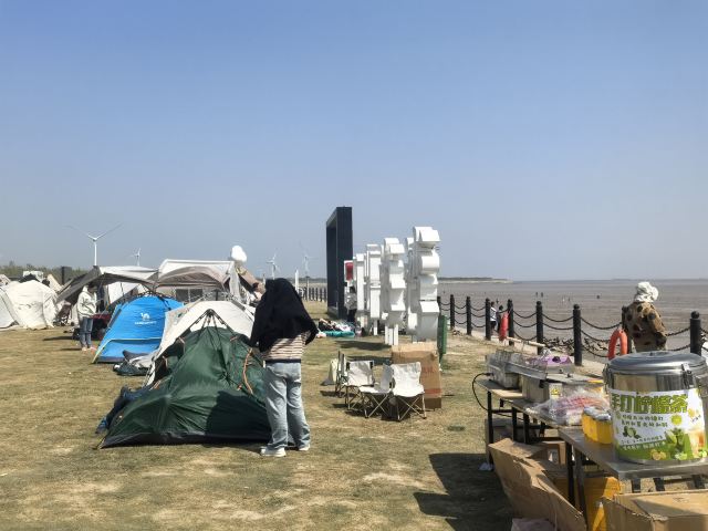 日出海湾旅行图片 4