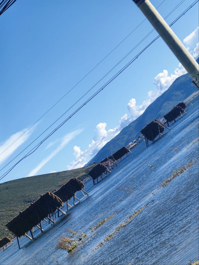 纳帕海大草原旅游景区旅行图片 7