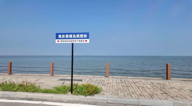 菩提岛旅行图片 1