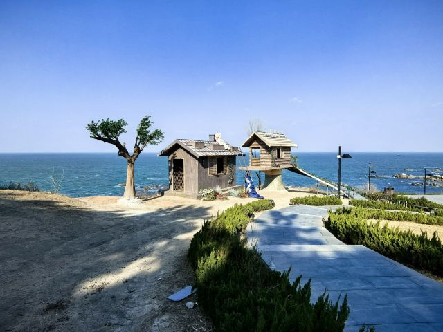 养马岛林间花海旅行图片 7