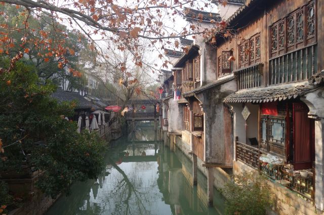 枫泾古镇旅行图片 3