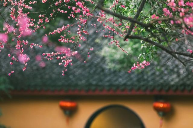 湖州铁佛寺旅行图片 6