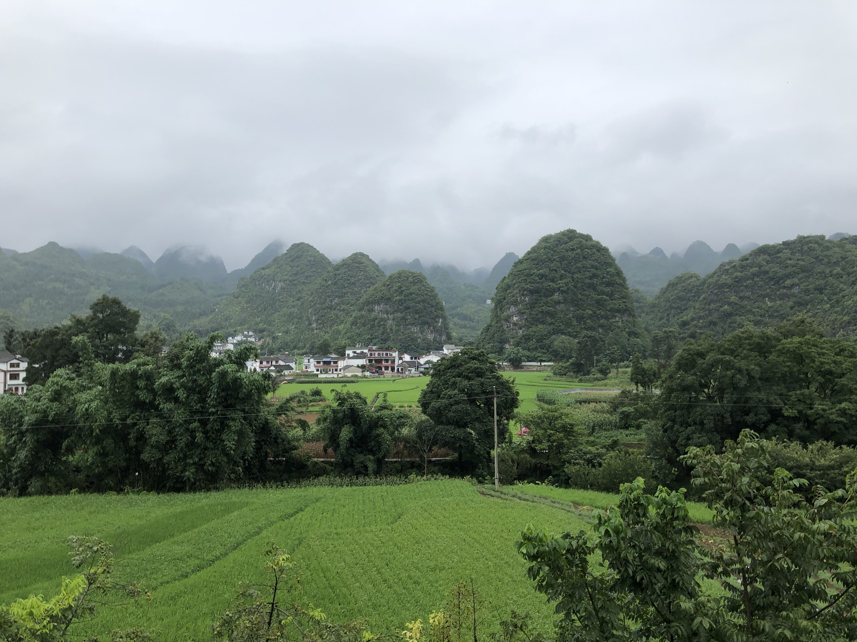 Guizhou Wanfenglin