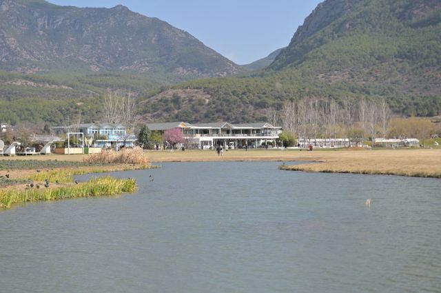候鸟湾湿地旅行图片 4
