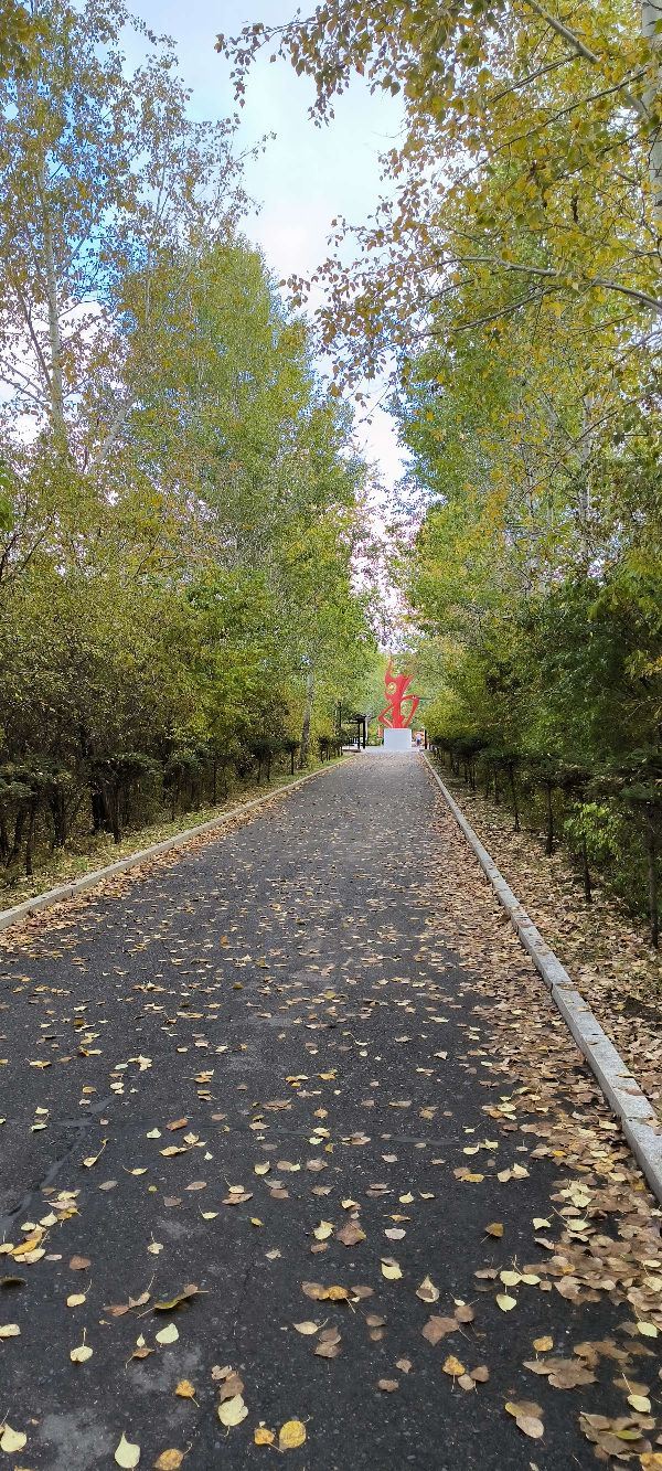 青山公园旅行图片 4