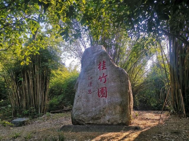 潜山国家森林公园旅行图片 2