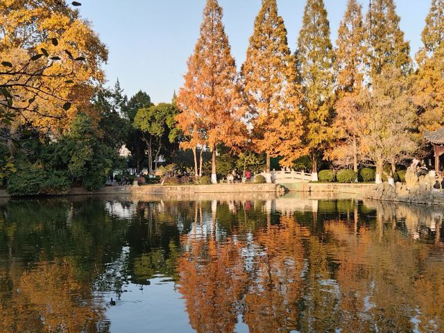 莫愁湖公园旅行图片 5
