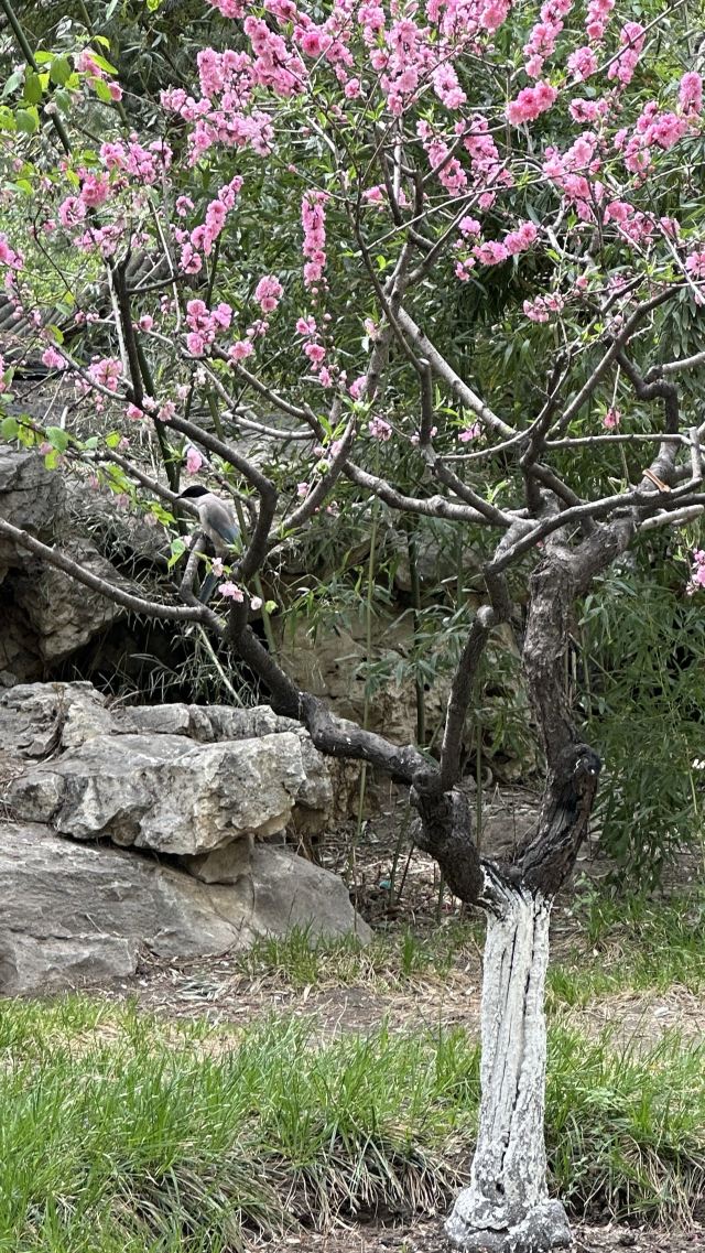 宣武艺园旅行图片 14