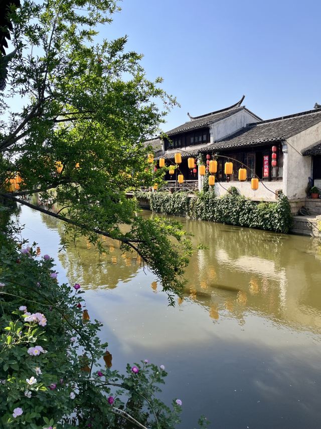荡口古镇旅行图片 2