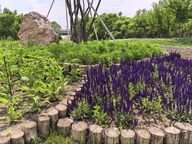 百草园旅行图片 5