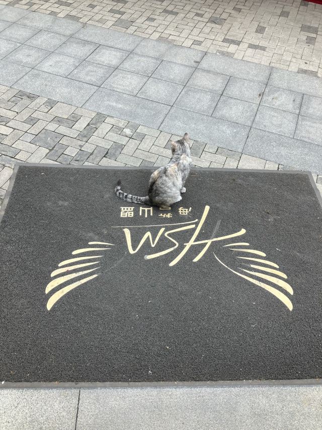 安娜别墅旅行图片 2