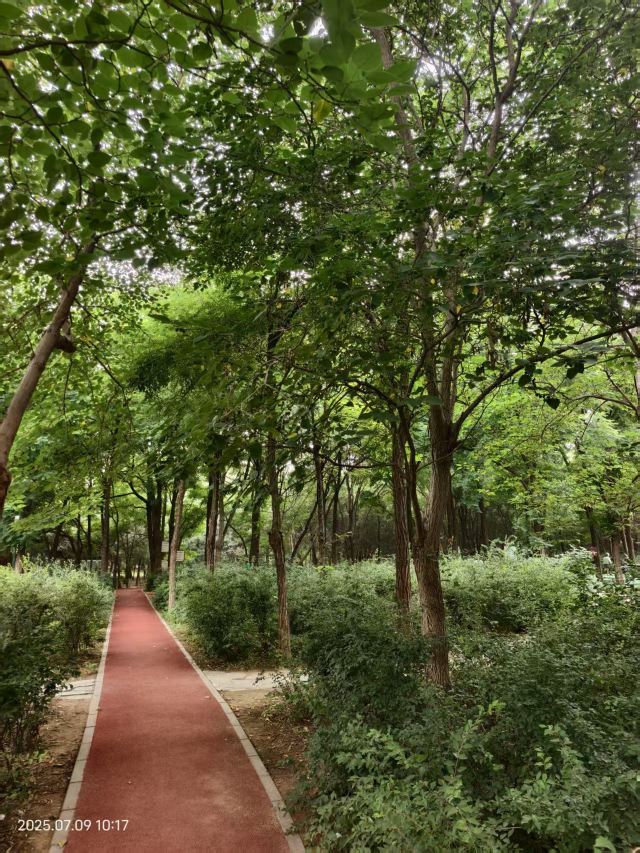 老山城市休闲公园旅行图片 4