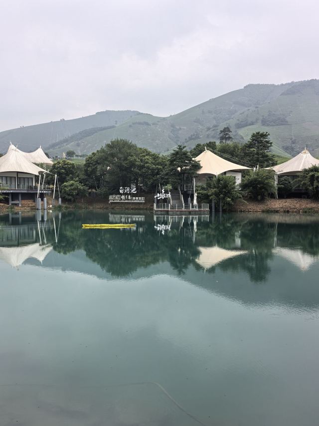 白茶原·安吉白茶观景平台旅行图片 9