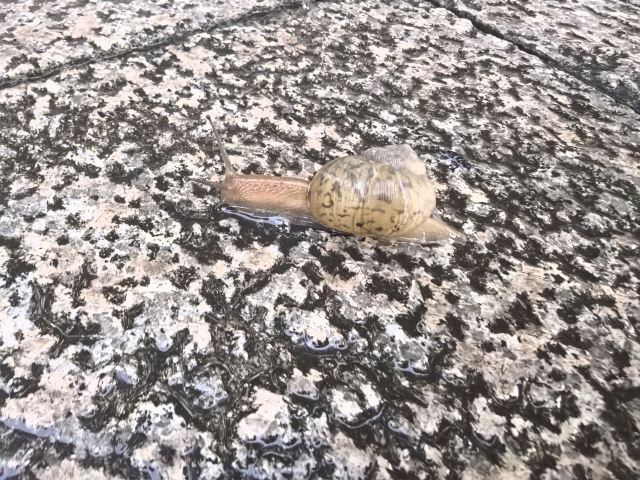 池杉湖国家湿地公园旅行图片 1
