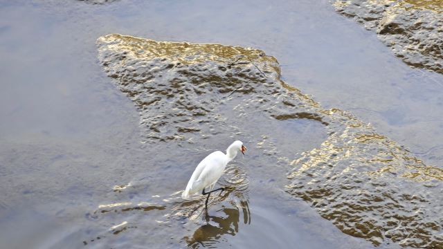 沙面旅游区旅行图片 3