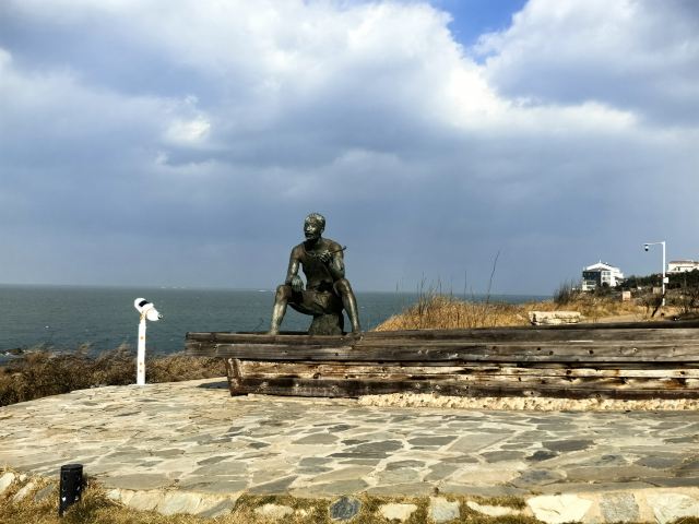 养马岛林间花海旅行图片 9