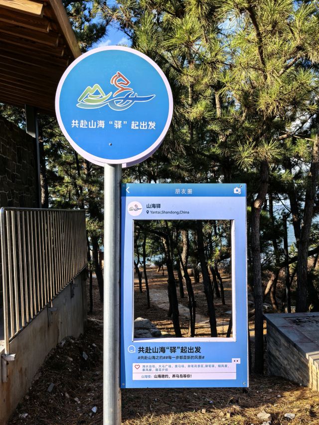 养马岛林间花海旅行图片 15