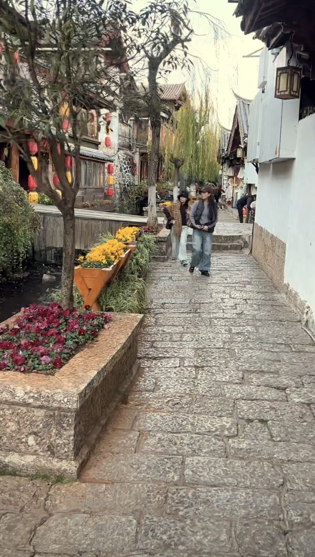 丽江古城旅行图片 4