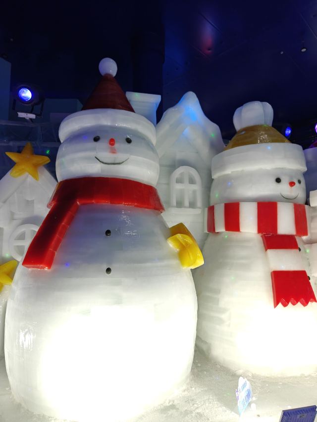 哈尔滨冰雪大世界文创旗舰店旅行图片 5